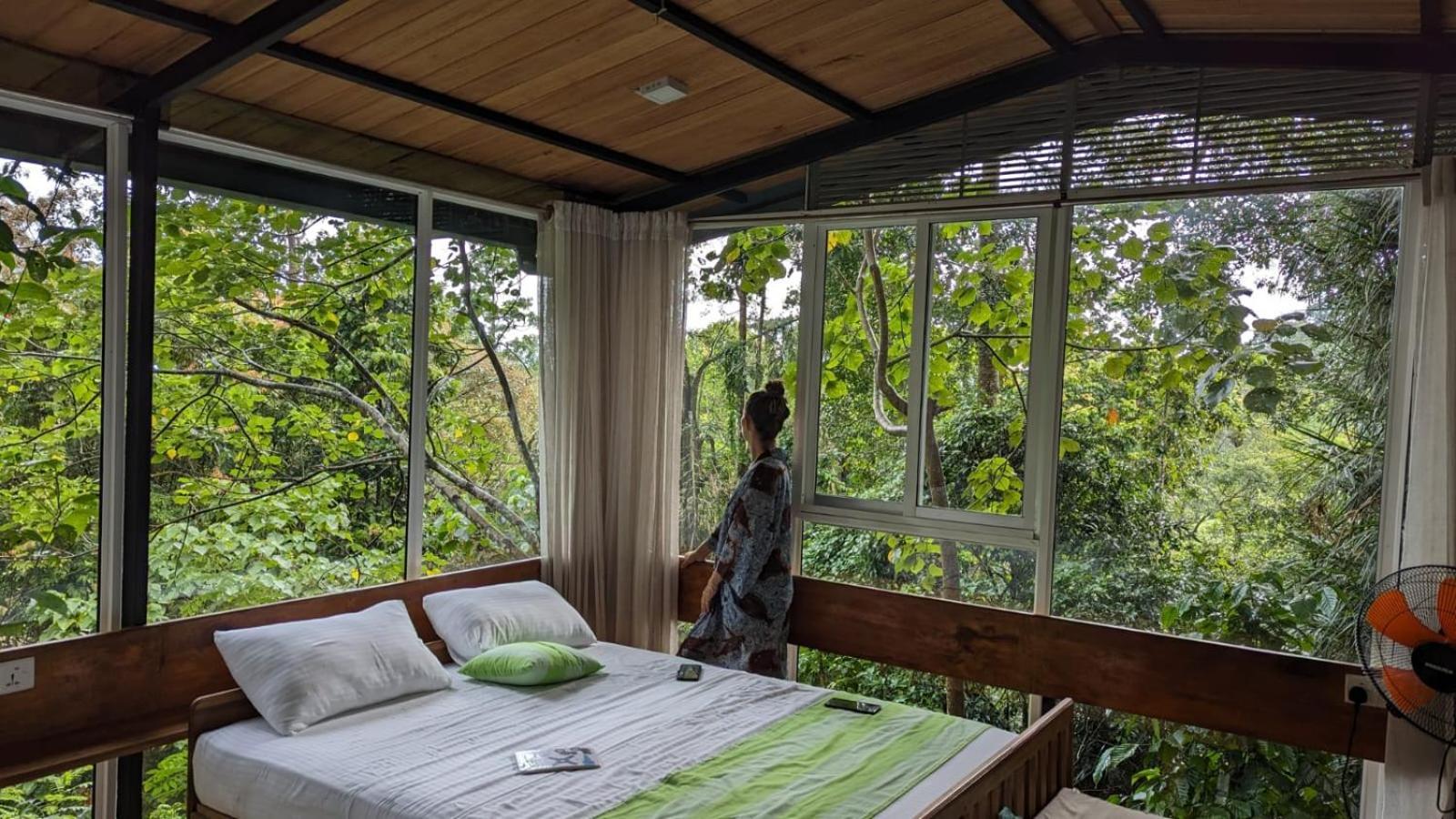 דניאיאה Sinharaja Kurulu Ella Eco Resort מראה חיצוני תמונה
