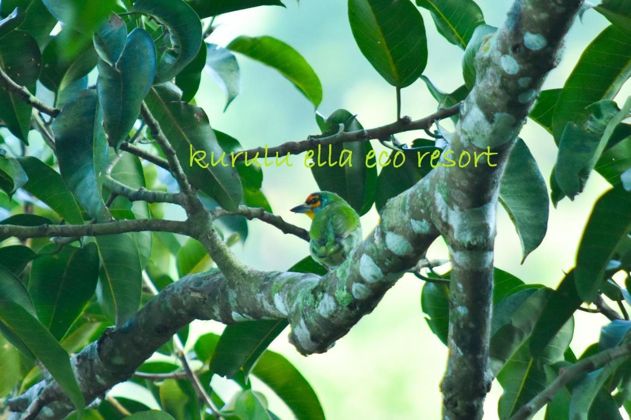 דניאיאה Sinharaja Kurulu Ella Eco Resort מראה חיצוני תמונה