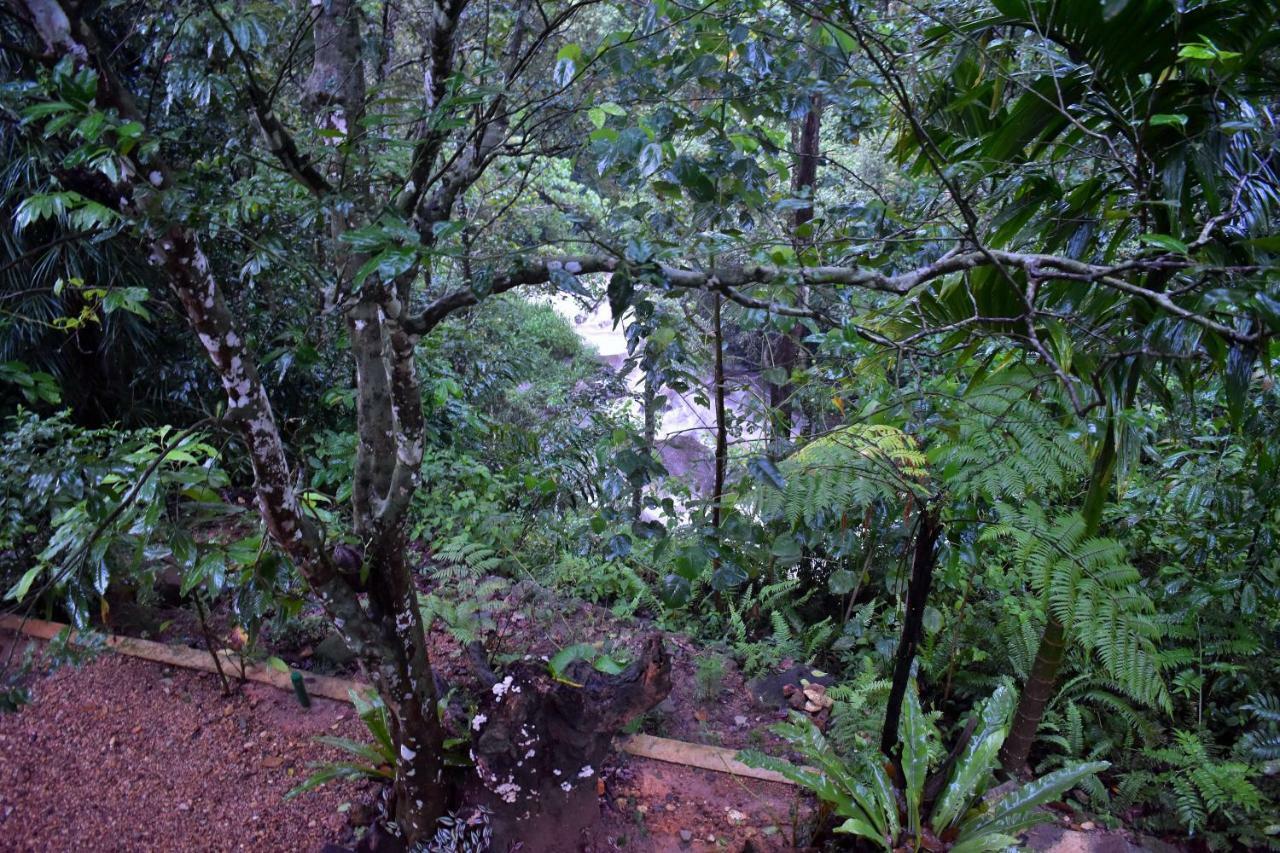 דניאיאה Sinharaja Kurulu Ella Eco Resort מראה חיצוני תמונה